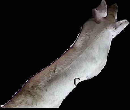 Crop