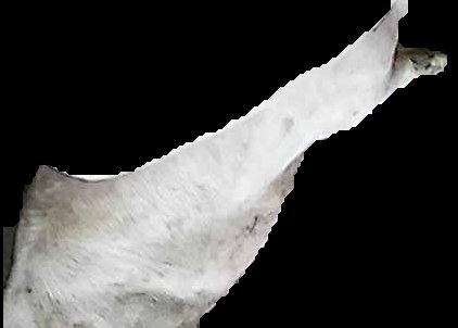 Crop