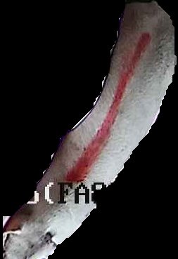 Crop