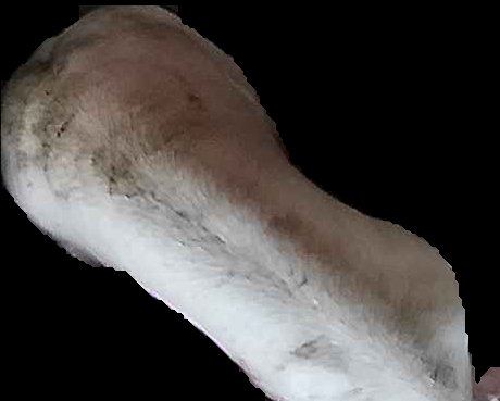 Crop
