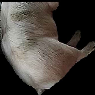 Crop
