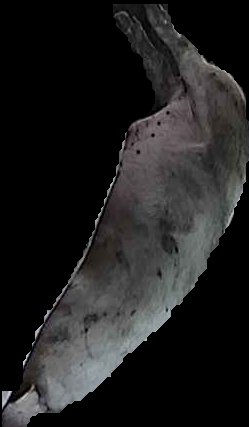 Crop