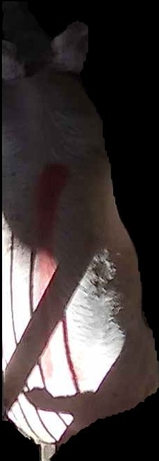 Crop