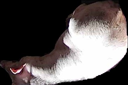 Crop
