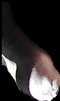 Crop