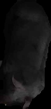 Crop