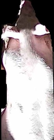 Crop