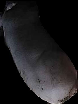 Crop