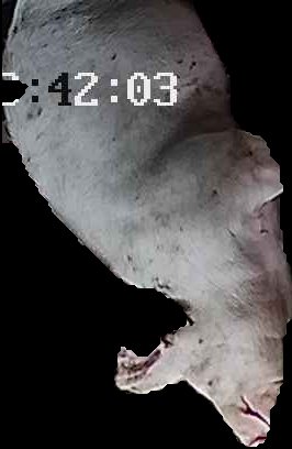 Crop