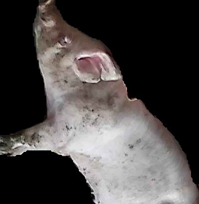 Crop