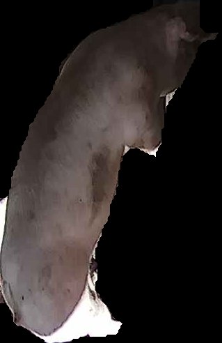 Crop