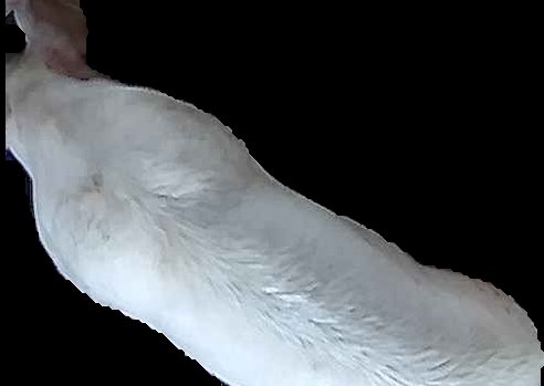 Crop