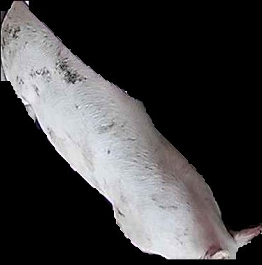 Crop