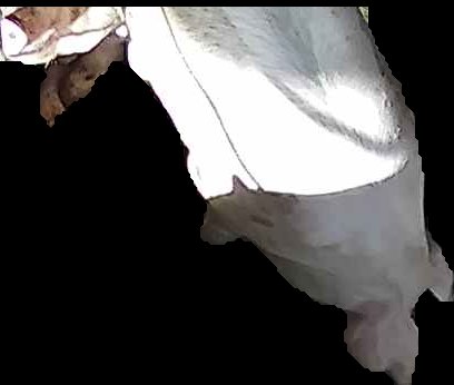 Crop