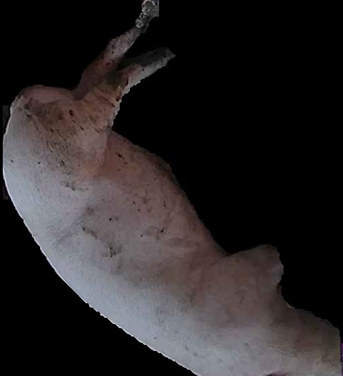 Crop