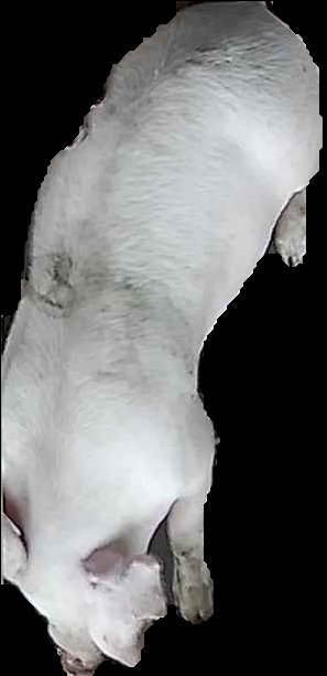 Crop