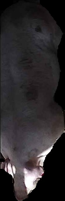 Crop