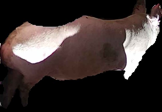 Crop