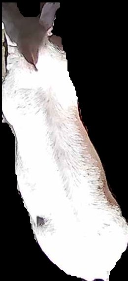 Crop