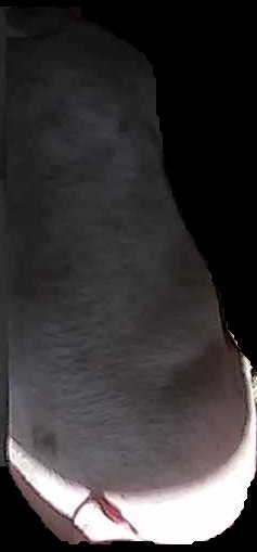 Crop