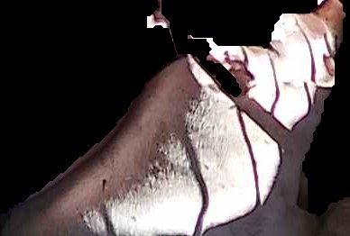 Crop