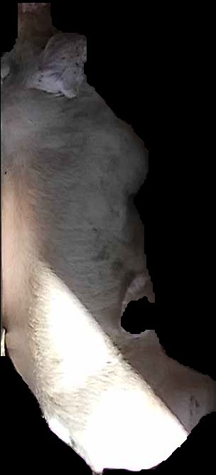 Crop