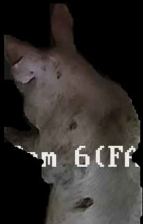 Crop