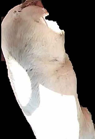 Crop