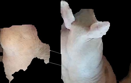 Crop