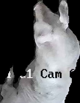 Crop