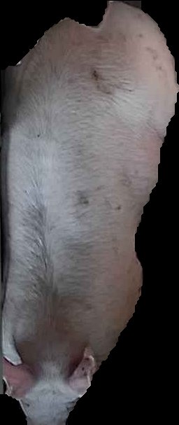 Crop