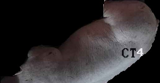 Crop