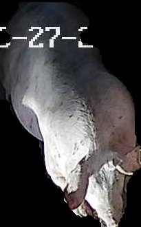 Crop