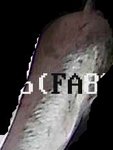 Crop