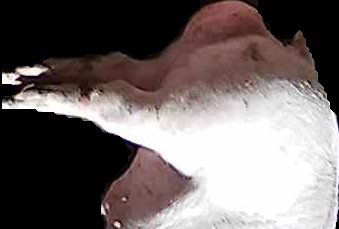 Crop