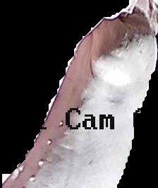 Crop