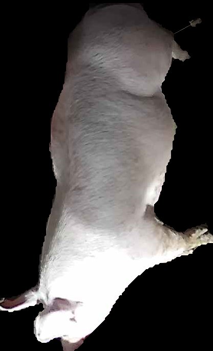 Crop