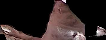 Crop