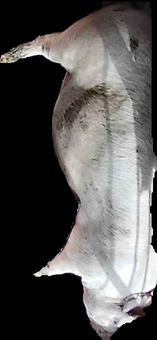 Crop