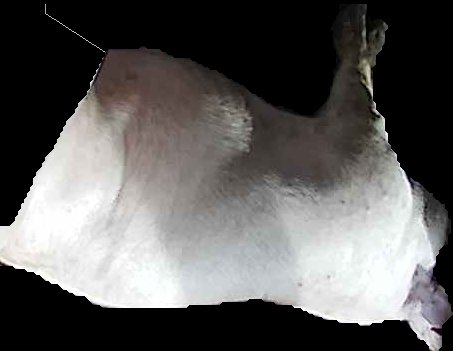 Crop