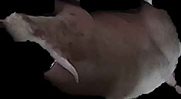 Crop