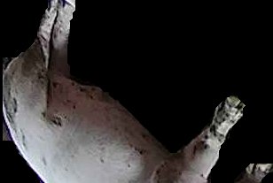 Crop