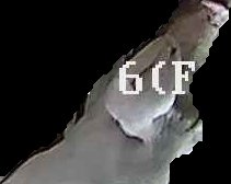 Crop