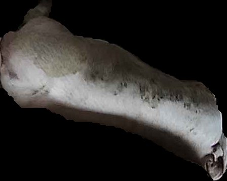 Crop
