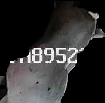 Crop