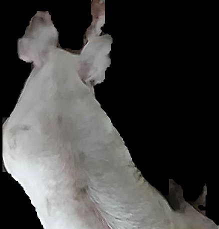 Crop