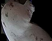 Crop