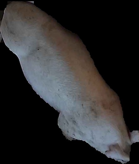 Crop