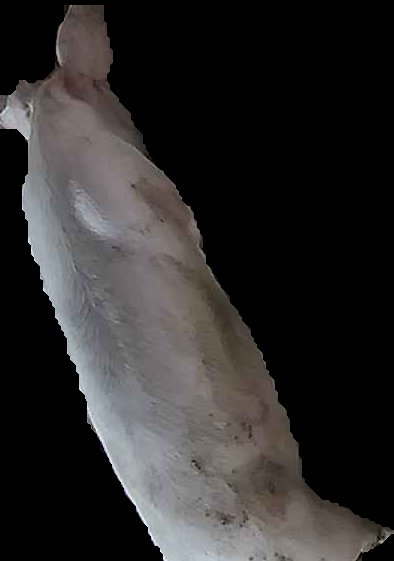 Crop
