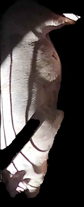 Crop